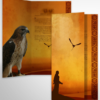 Brochures