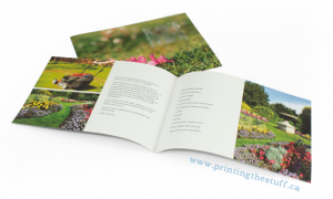 DL Size Brochure Printing Toronto